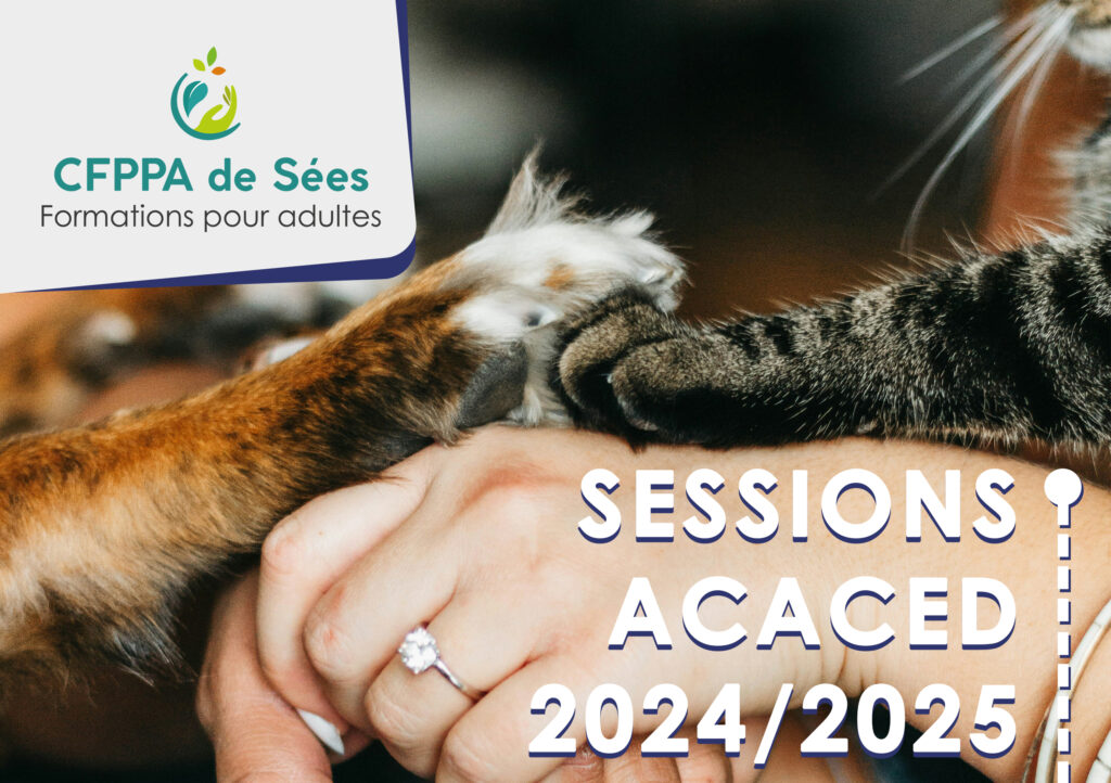 acaced-sessions-2024-toutes-les-dates-cfppa-de-sees