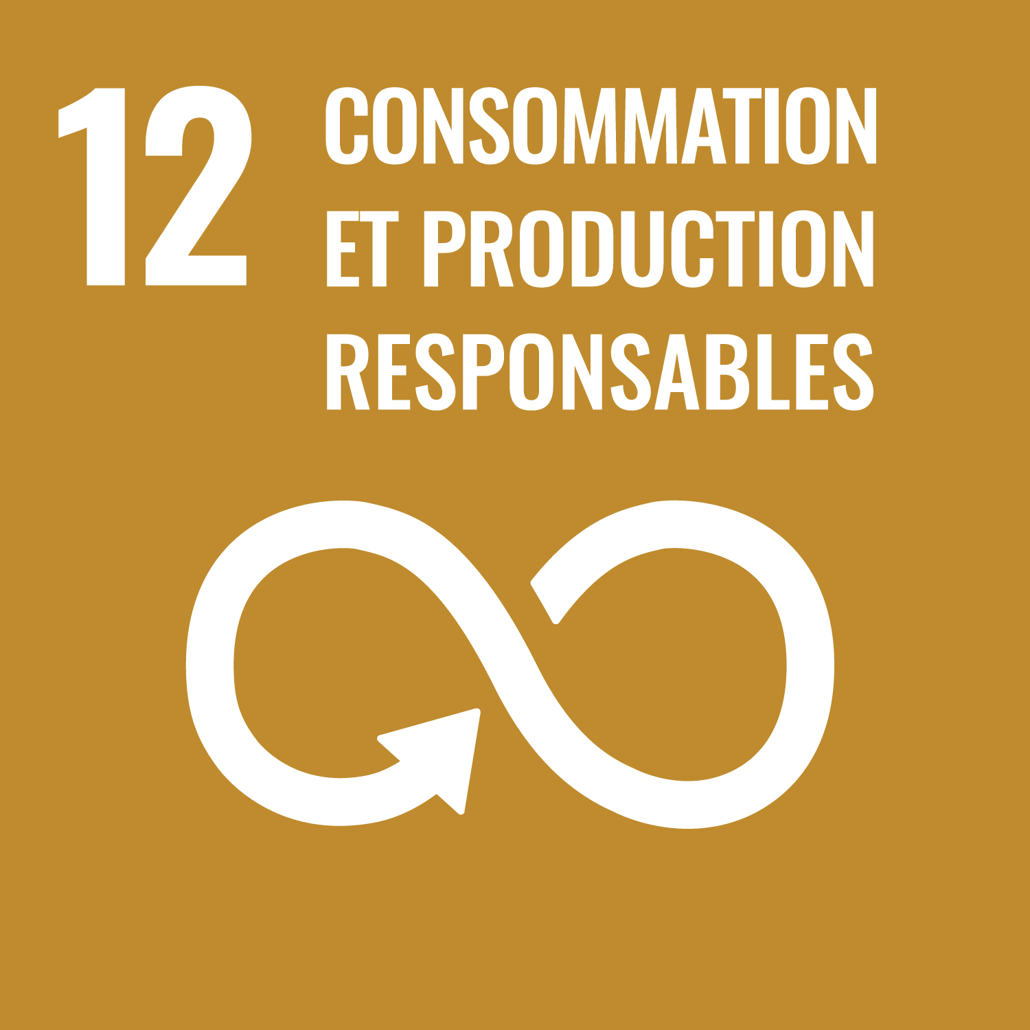 Objectif de développement durable 12: Consommation et production responsable;