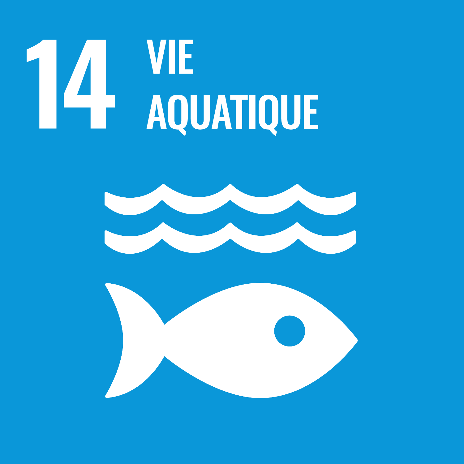 Objectif de développement durable 14: Vie aquatique;