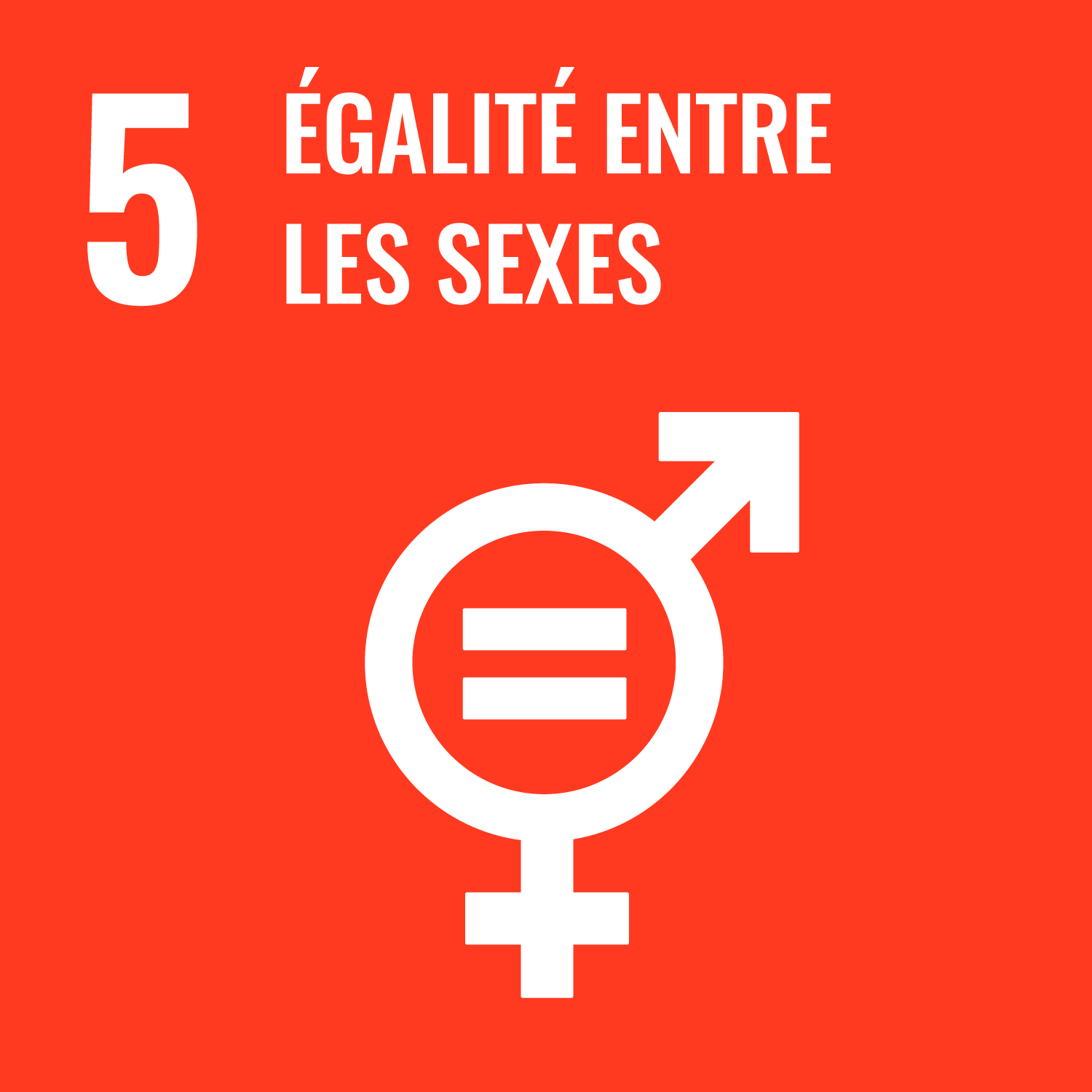 Objectif de développement durable 5 : Egalité entre les sexes;